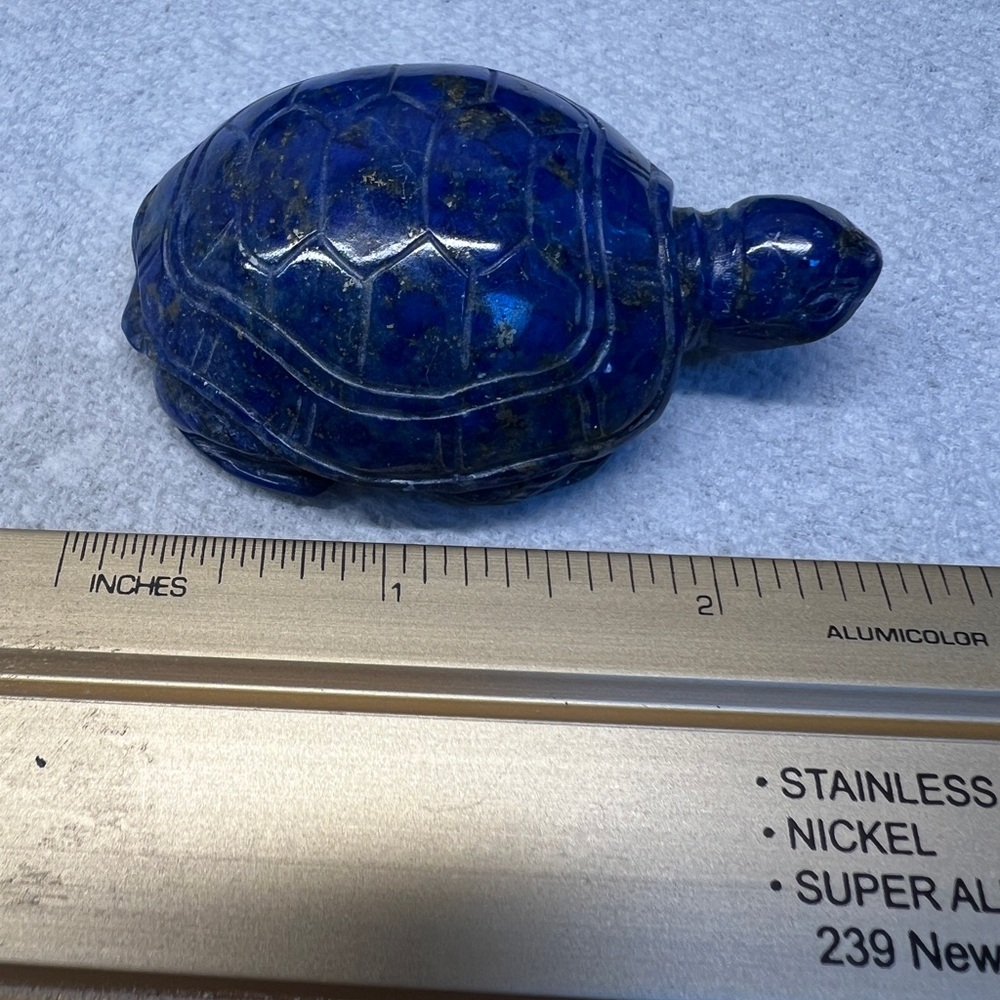 Blue lapis turtle - Picture 3 of 6